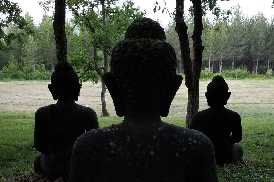 Buddha statues in shadow, silhouetted against a green meadow and forest