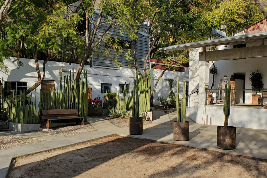 A central courtyard area in the La Calera complex, in Oaxaca, Mexico. There are several buildings in the shade of trees, surrounded by cactuses. There are concrete pathways connecting the buildings, some lined by cactuses in round rusted steel barrels.